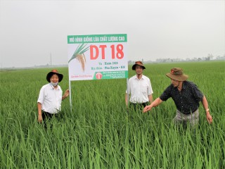 Nhân diện thực trạng và tìm lối ra cho nông sản Việt
